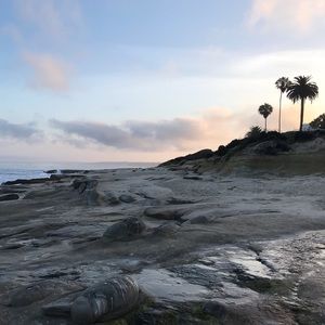 Meet your Posher, Frances